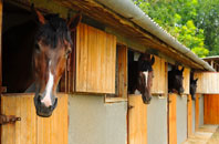 free Sternfield stable construction quotes